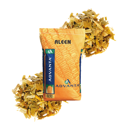 ALEEN
