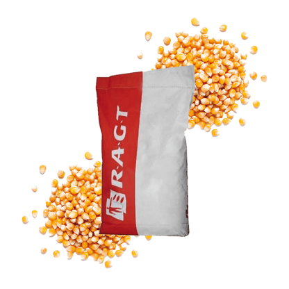 METROPOLIXX