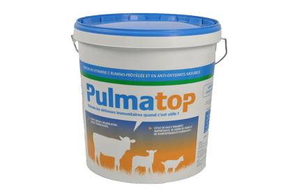 PULMATOP