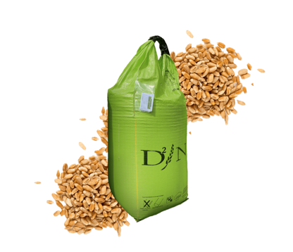 DEMENTIEL