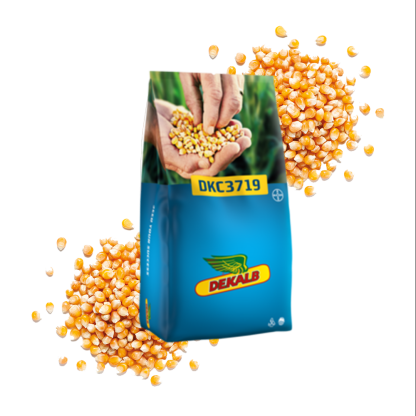 DKC 3719